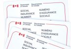 How to Get Social Insurance Number for Canada